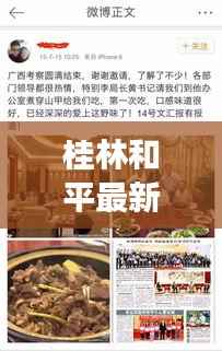 桂林和平最新新闻聚焦,热点事件一网打尽