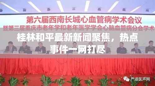 桂林和平最新新闻聚焦,热点事件一网打尽