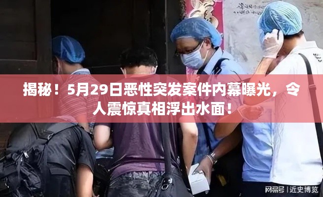 揭秘！5月29日恶性突发案件内幕曝光，令人震惊真相浮出水面！