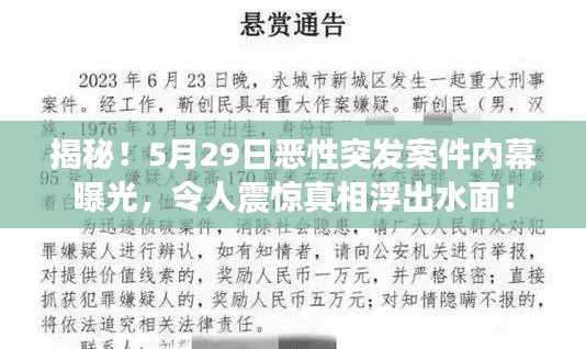 揭秘!5月29日恶性突发案件内幕曝光,令人震惊真相浮出水面!