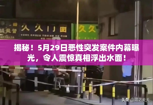 揭秘!5月29日恶性突发案件内幕曝光,令人震惊真相浮出水面!