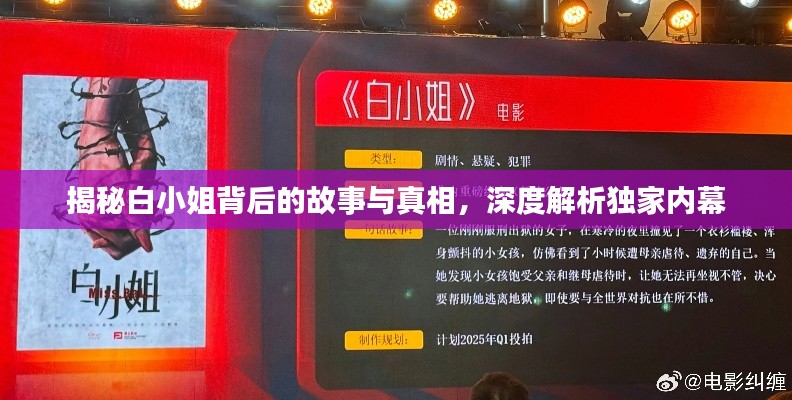 揭秘白小姐背后的故事与真相,深度解析独家内幕