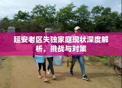 延安老区失独家庭现状深度解析，挑战与对策