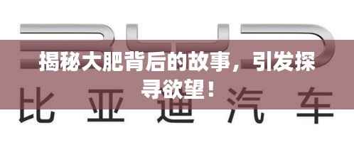 揭秘大肥背后的故事,引发探寻欲望!