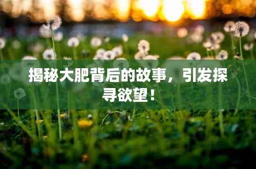 揭秘大肥背后的故事,引发探寻欲望!