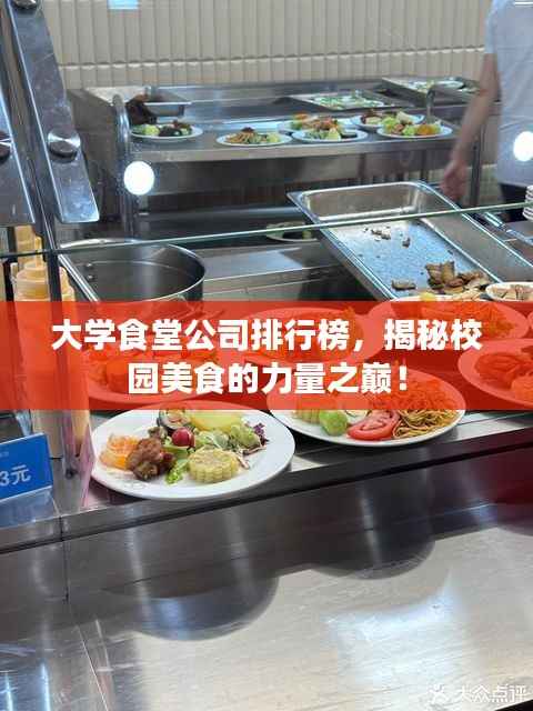 大学食堂公司排行榜，揭秘校园美食的力量之巅！