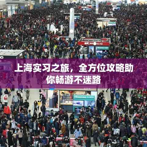 上海实习之旅，全方位攻略助你畅游不迷路