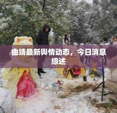 曲靖最新舆情动态，今日消息综述