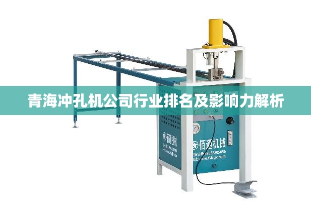 青海冲孔机公司行业排名及影响力解析