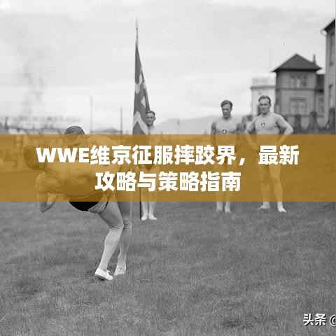WWE维京征服摔跤界，最新攻略与策略指南