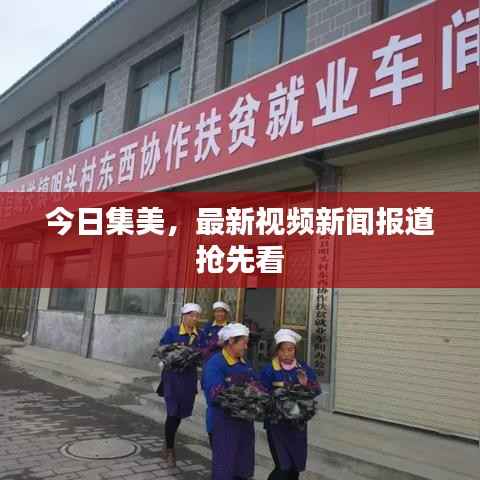 今日集美，最新视频新闻报道抢先看