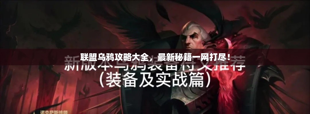 联盟乌鸦攻略大全，最新秘籍一网打尽！