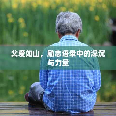 父爱如山,励志语录中的深沉与力量