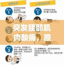 突发腰部肌肉酸痛，原因解析、应对方法与预防策略