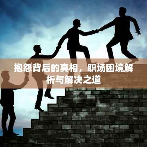 抱怨背后的真相,职场困境解析与解决之道