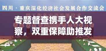 专题督查携手人大视察,双重保障助推发展进程