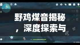 野鸡煤音揭秘,深度探索与解析