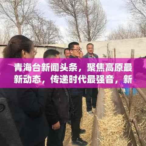 青海台新闻头条，聚焦高原最新动态，传递时代最强音，新动向全掌握