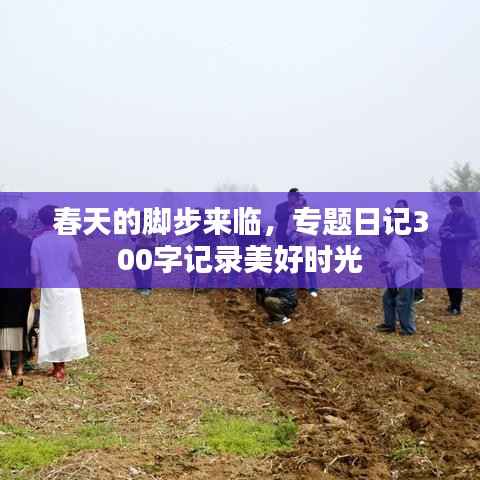 春天的脚步来临，专题日记300字记录美好时光
