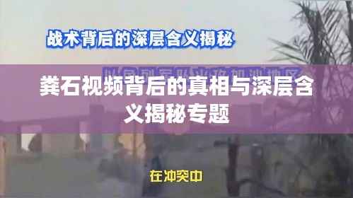 粪石视频背后的真相与深层含义揭秘专题