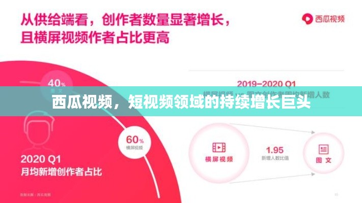 西瓜视频，短视频领域的持续增长巨头