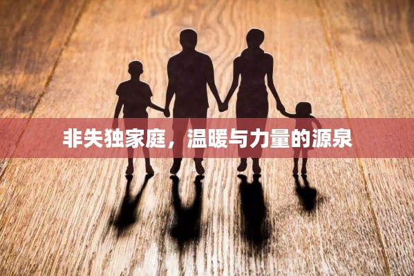 非失独家庭,温暖与力量的源泉