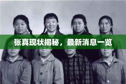 张真现状揭秘,最新消息一览