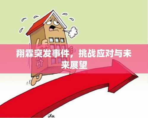 翔霖突发事件，挑战应对与未来展望