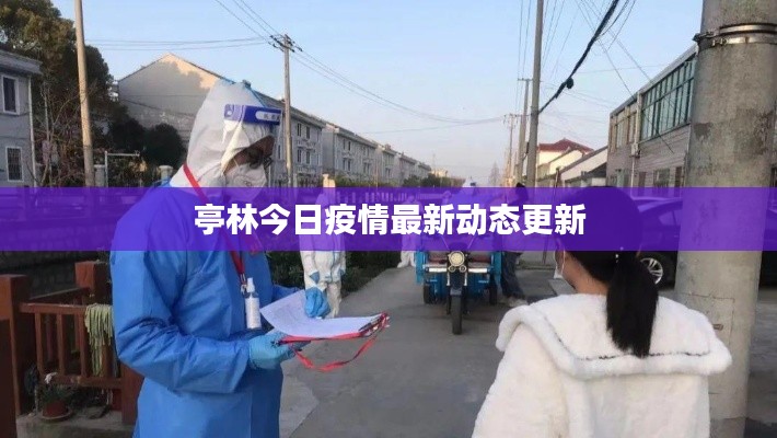 亭林今日疫情最新动态更新