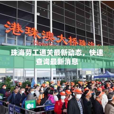 珠海劳工通关最新动态，快速查询最新消息