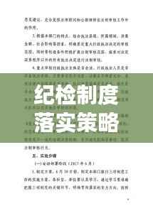 纪检制度落实策略,监督与执行并重,打造廉洁高效政务环境