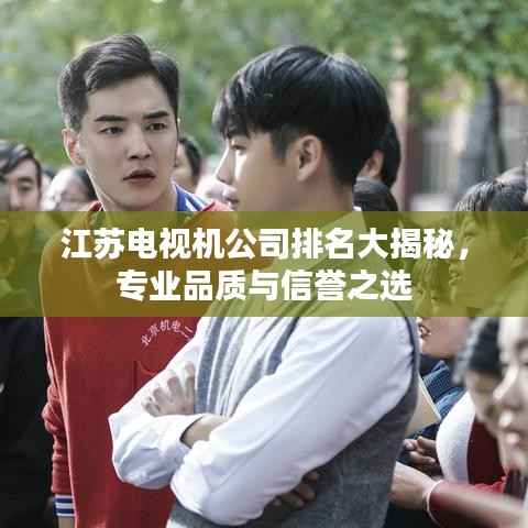 江苏电视机公司排名大揭秘,专业品质与信誉之选