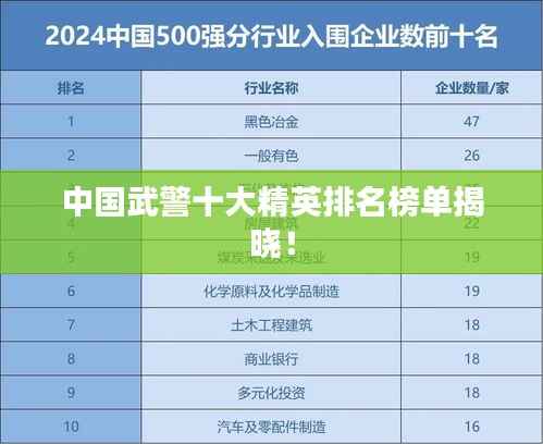 中国武警十大精英排名榜单揭晓！