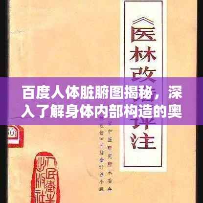 百度人体脏腑图揭秘,深入了解身体内部构造的奥秘