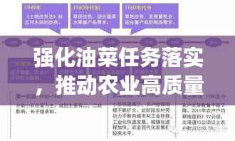 强化油菜任务落实，推动农业高质量发展进程