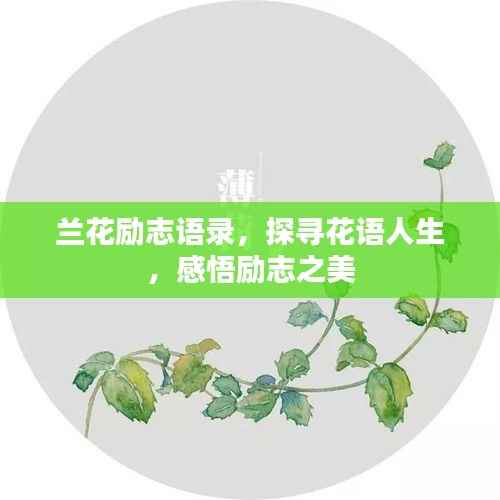 兰花励志语录,探寻花语人生,感悟励志之美