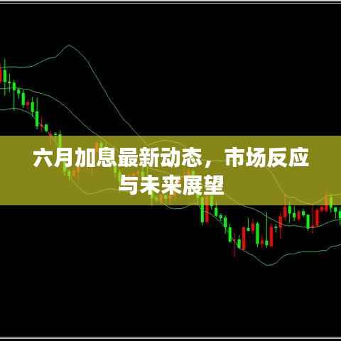 还朴反古 第5页