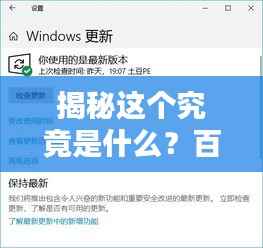 揭秘这个究竟是什么？百度带你深入了解！