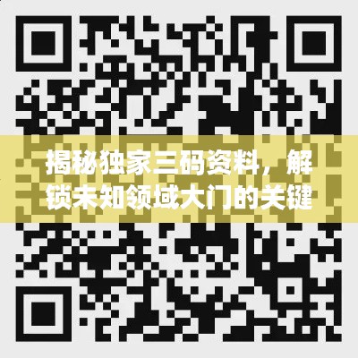 揭秘独家三码资料,解锁未知领域大门的关键所在