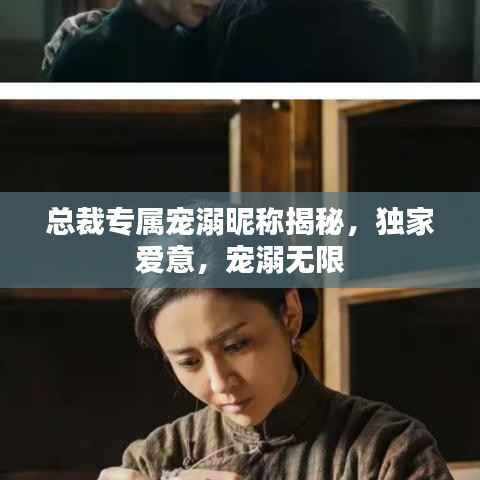 总裁专属宠溺昵称揭秘,独家爱意,宠溺无限