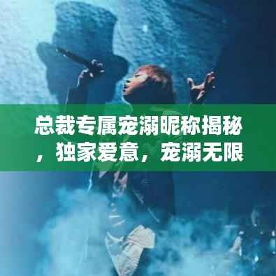 总裁专属宠溺昵称揭秘,独家爱意,宠溺无限