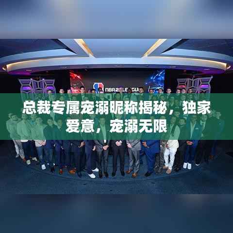 总裁专属宠溺昵称揭秘,独家爱意,宠溺无限