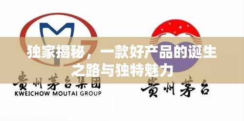 独家揭秘,一款好产品的诞生之路与独特魅力