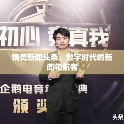 精灵新闻头条,数字时代的新闻领航者