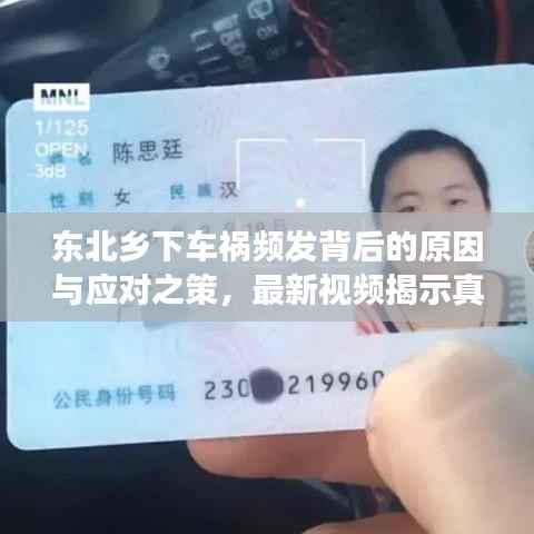 东北乡下车祸频发背后的原因与应对之策，最新视频揭示真相，深度探讨事故应对之道