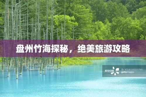 盘州竹海探秘,绝美旅游攻略