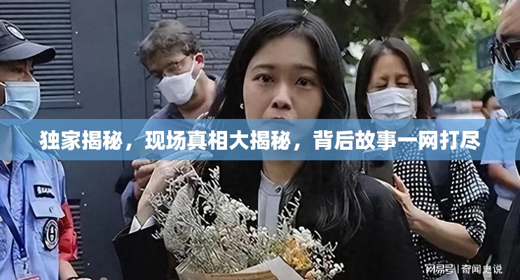 独家揭秘,现场真相大揭秘,背后故事一网打尽