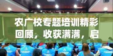 笨鸟先飞 第4页