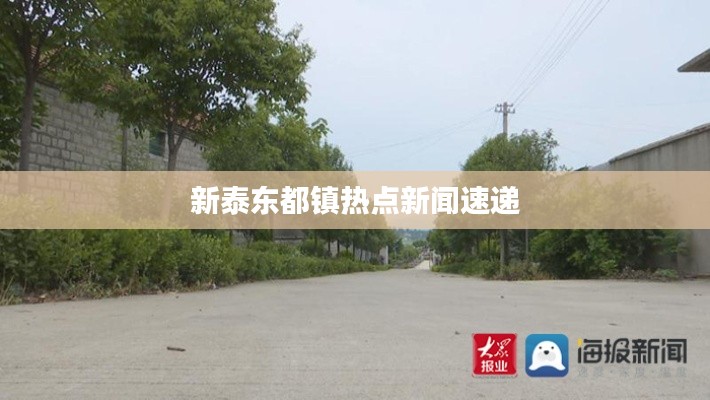 新泰东都镇热点新闻速递