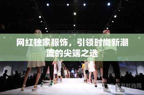 网红独家服饰,引领时尚新潮流的尖端之选